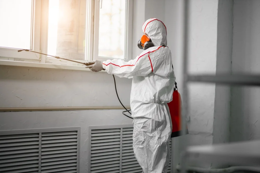 Professional mold remediation services in Hoschton, GA